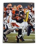 Rudi Johnson Autographed/Hand Signed Cincinnati Bengals 16x20 Photo
