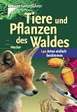 Tiere und Pflanzen des Waldes. 140 Arten einfach bestimmen