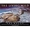 Nature Photography Books