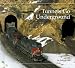 Books : Tunnels Go Underground: A Building Block Book (Hill, Lee Sullivan, Building Block Book.)