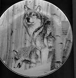 Broken Silence Collector Plate