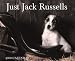 Book Just Jack Russells Calendar: 2000