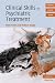 Clinical Skills in Psychiatric Treatment: 0 (Cambridge Clinical Guides)