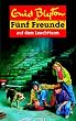 F�nf Freunde. Spannende Geschichten f�r Jungen und M�dchen: F�nf Freunde, Neubearb., Bd.16, F�nf Freunde auf dem Leuchtturm