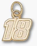 Kyle Busch Small Driver Number 
