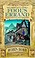 Fool's Errand
