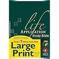 Holy Bible (King James Version, Violet on Lilac Two-Tone Flexisoft ,Leather, Personal Size Giant Print Reference Bible) (Life Application Study Bible) (Indexed) (Hardcover)