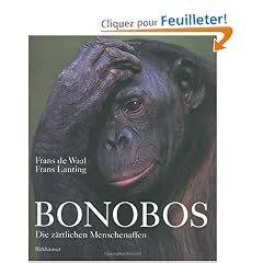 Bonobos