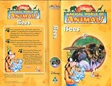 Disneys Magical World of Animals : Bees (Video Tape/PAL)