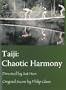 Taiji: Chaotic Harmony