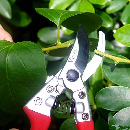 Vecent 8 Inch Premium Quality Bypass Pruning Shears Extra Hardness Extra Sharp Garden Hand Pruners Comfortable Gardening Scissors (Red)