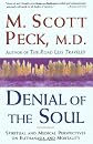 Denial of the Soul : Spiritual and Medical Perspectives on Euthanasia and Mortality