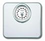 Taylor 4832W Mechanical Scale, White