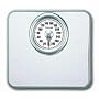 Taylor 4832W Mechanical Scale, White
