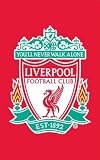 Zap Liverpool FC Rug