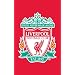 Zap Liverpool FC Rug