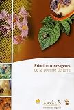 Principaux ravageurs de la pomme de terre Principaux ravageurs de la pomme de terre