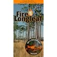 Take a Closer Look: Fire and the Longleaf