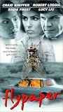 Flypaper [VHS]