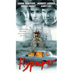 Flypaper [VHS]