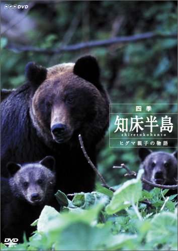 Cover image : 四季・知床半島 ～ヒグマ親子の物語～ [DVD]