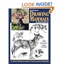 Drawing Mammals: An Artist's Reference Guide to North American Mammals