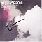 Bryan Adams Picture 2