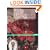 The Spirit of Christmas: Creative Holiday Ideas Book 12 (Bk. 12)
