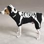 GLOWING BONEY DOG - Pet Halloween Costume X-LARGE - GLOWING BONEY DOG - Pet Halloween Costume