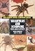 Tarantulas & Scorpions (Reptiles and Amphibians)