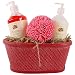 Asquith Somerset Hand Wash Lotion Gift Basket with Sponge