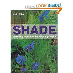 Shade: Planting Solutions for Shady Gardens