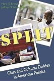 Split: Class And Cultural Divides in American Politics