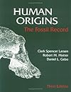 Human Origins : The Fossil Record