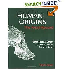 Human Origins : The Fossil Record