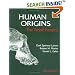 Human Origins : The Fossil Record