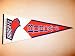 Charlotte Bobcats NBA Classic Basketball Pennant