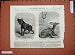 1868 Zoological Gardens Young Hyaena Koodoo Animals