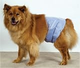Pooch Pants Male Wrap - Medium