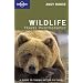 Wildlife Photography (Lonely Planet How to)