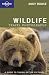 Wildlife Photography (How to)