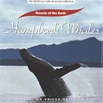 Humpback Whales