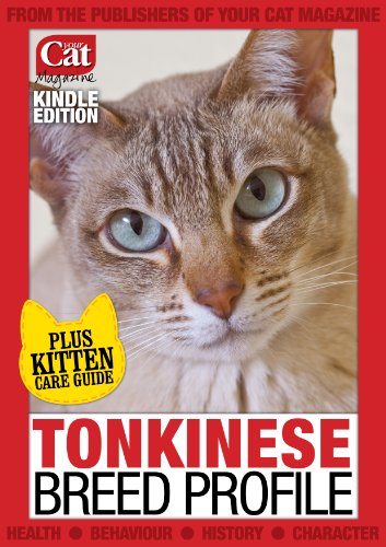 Tonkinese Breed Profile (Your Cat Magazine Breed Profiles)