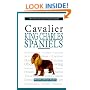 A New Owner's Guide to Cavalier King Charles Spaniels