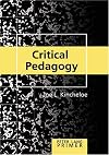 Critical Pedagogy Primer (Peter Lang Primer)