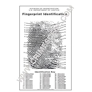 fingerprint classification chart