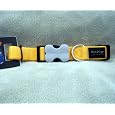Red Dingo Dog Collar, Large, Yellow