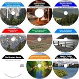 The Exclusive 9 Hour No Money Down, Flexible Seller, Real Estate Mentoring System