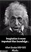 Fridge Magnet Quotations Albert Einstein 7cm x 4.5cm-Set of 2-Philosophy