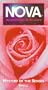 Nova: Mystery of the Senses Smell [VHS]